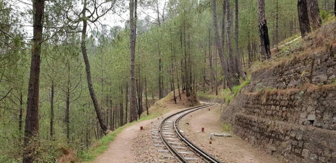 Ferienwohnung Kanda Road 4 Kasauli Exterior foto