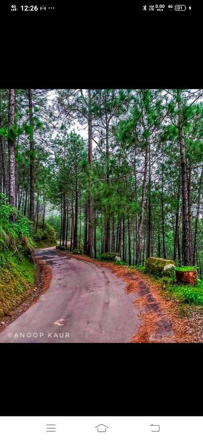 Ferienwohnung Kanda Road 4 Kasauli Exterior foto