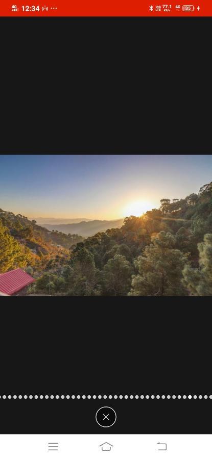 Ferienwohnung Kanda Road 4 Kasauli Exterior foto